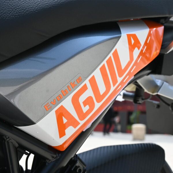 Águila